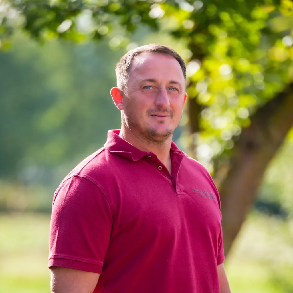 Mitarbeiter in dunkelrotem Poloshirt